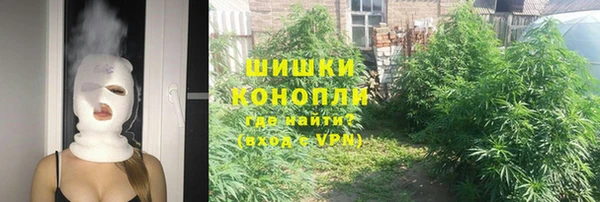 ешки Алексин